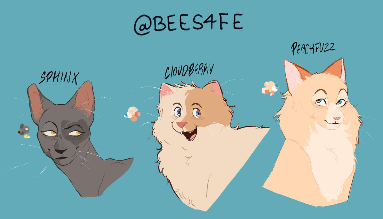 Character Design: Warrior Cats